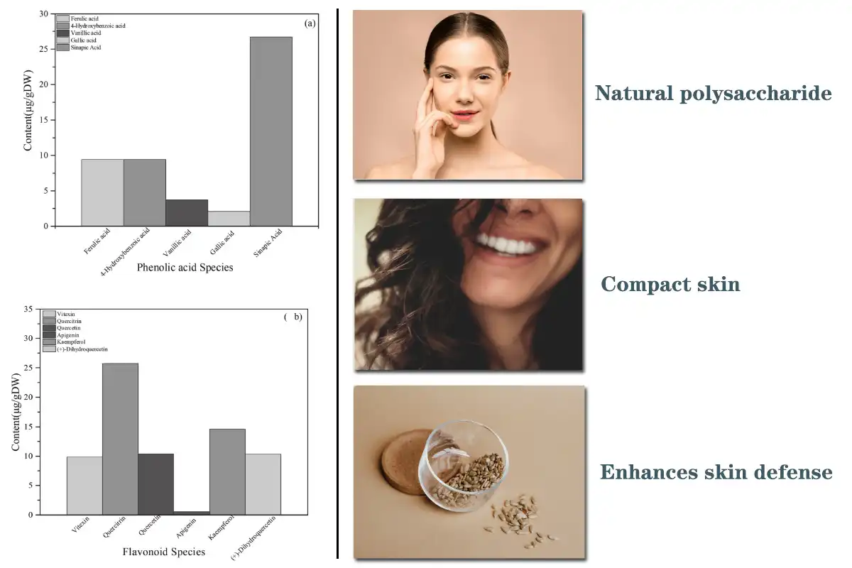Flaxseed Extract Powder.jpg